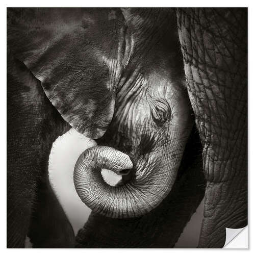 Wandsticker Baby-Elefant an Mutter gelehnt