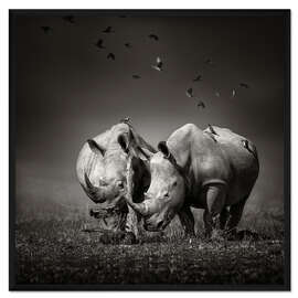 Gerahmter Kunstdruck Zwei Nashörner mit Vögeln