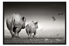 Gerahmter Kunstdruck Nashornkuh mit Kalb