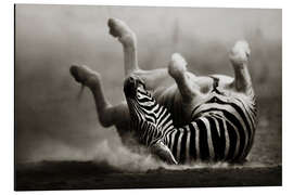 Magnettafel Zebra auf staubigem Wüstensand