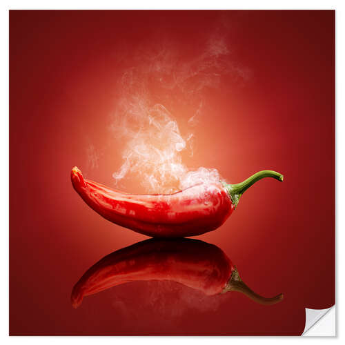 Wandsticker Red Hot Chili Stillleben