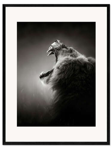 Innrammet kunsttrykk The reputation of the king