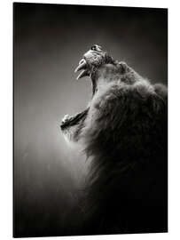 Magnettafel Der Ruf des Königs