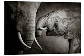 Magnettafel Baby-Elefant mit seiner Mutter