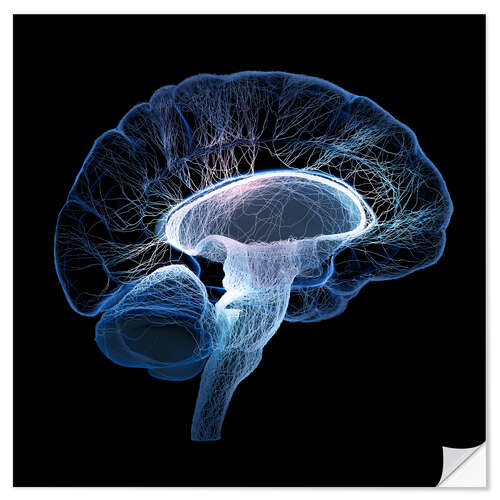 Självhäftande poster Human Brain illustrated with network of nerves