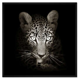 Gerahmter Kunstdruck Leopard Porträt