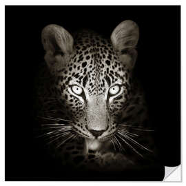 Wall sticker Leopard portrait licking it's paw