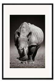 Gerahmter Kunstdruck Nashorn Porträt