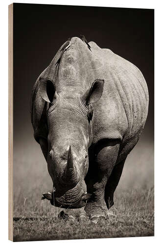 Trätavla Rhinoceros portrait