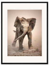 Gerahmter Kunstdruck Kleiner Elefant