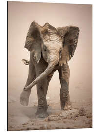 Magnettafel Kleiner Elefant