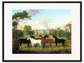 Gerahmter Kunstdruck Fünf Rennpferde vor einem englischen Landhaus.