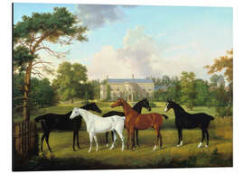 Magnettafel Fünf Rennpferde vor einem englischen Landhaus.