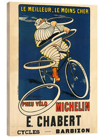 Trebilde Bicycle tires Michelin