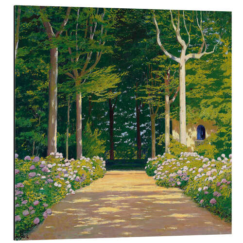 Aluminium print Hydrangeas on a garden path