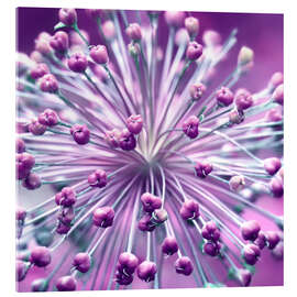 Acrylic print Globularia, purple