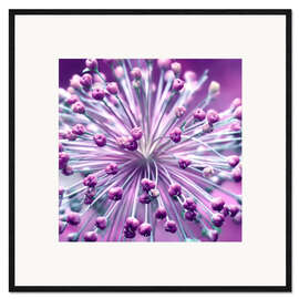 Impresión de arte enmarcada Globularia, lila