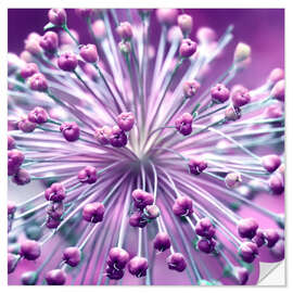 Wall sticker Globularia, purple