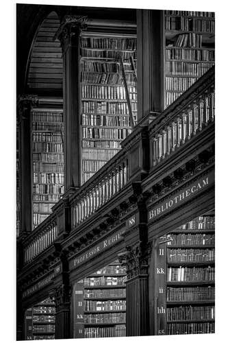 Foam board print Trinity College Library B/W