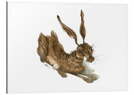 Magnettafel Dürrer Dürer Hase