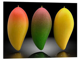 Magnettafel Mango Tango