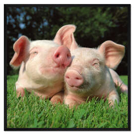 Gerahmter Kunstdruck Dicke Umarmung