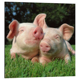 Magnettafel Dicke Umarmung