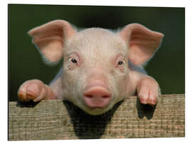 Magnettafel Good morning, sunshine!