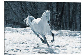 Aluminiumtavla Gray mare in snow