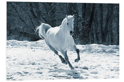 Foam board print Gray mare in snow