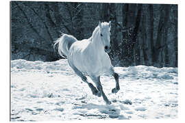 Gallery print Gray mare in snow