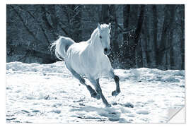 Sisustustarra Gray mare in snow