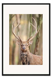 Gerahmter Kunstdruck Eure Majestät