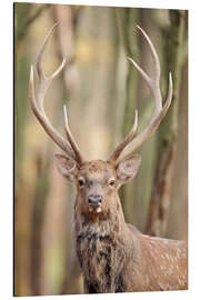 Magnettafel Eure Majestät