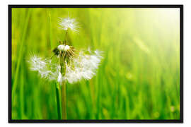 Gerahmter Kunstdruck Sommerwind