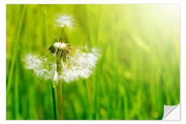Sisustustarra summerwind
