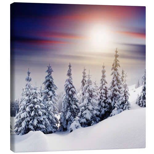 Canvas-taulu Snowy fir trees