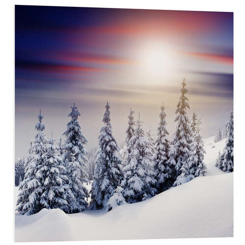 Tableau en PVC Sapins sous la neige 