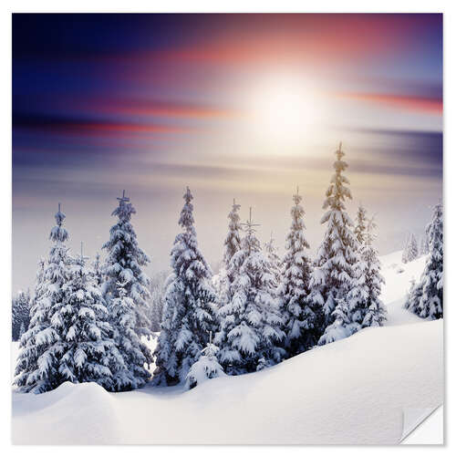 Vinilo para la pared Snowy fir trees