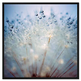 Gerahmter Kunstdruck Tropfenspieße