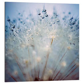 Magnettafel Tropfenspieße