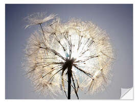 Självhäftande poster Dandelion is ready to fly