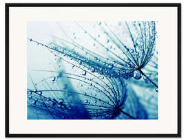 Gerahmter Kunstdruck Pusteblume in dunkelblau