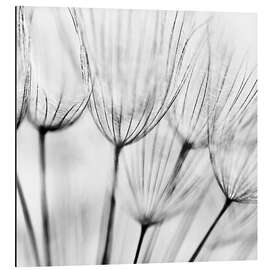 Magnettafel Pusteblumen in Schwarz/Weiß