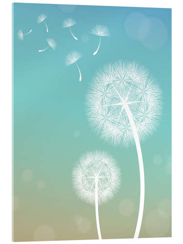 Acrylic print Delicate Dandelion