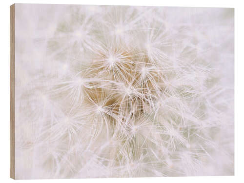 Holzbild Pusteblume - weiß wie Schnee