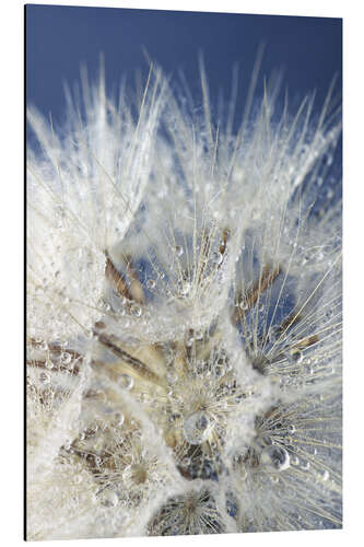 Aluminium print water drops against blue sky