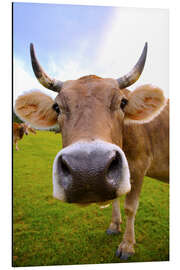 Magnettafel Kuh Erna