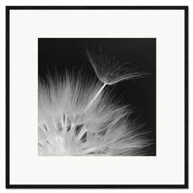 Framed art print Make a wish!