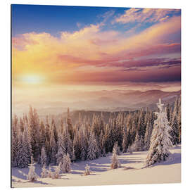 Aluminium print snowy forest in the Alps